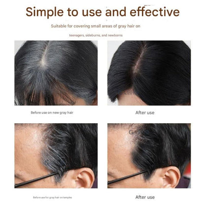 2-in-1 Portable Hair Dyeing Stick Comb